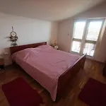 Luca Apartment Zaboric